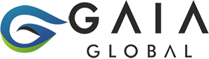 Gaia Groups